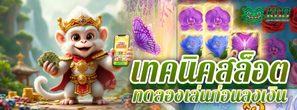 เทคนิคสล็อต